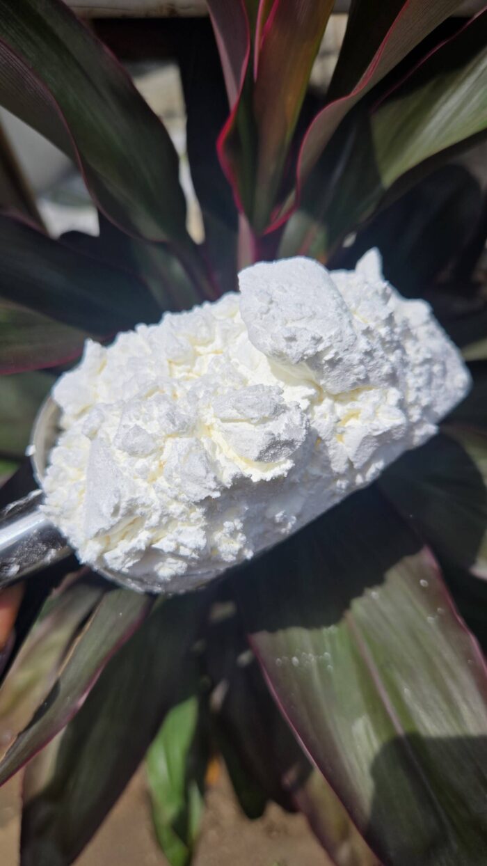 ARROW ROOTS POWDER - Image 2