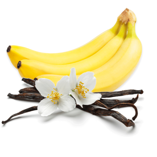 BANANA FRAGRANCE 391