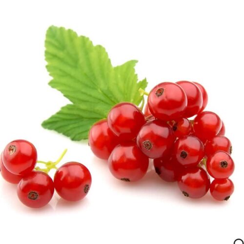 RED BERRY