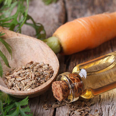 The essential oil of carrot seeds in a glass bottle closeup horizontal. top view
